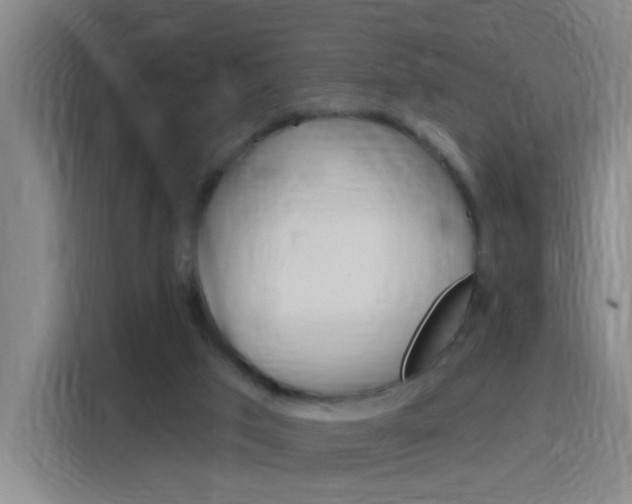 X0000116150017200911231001