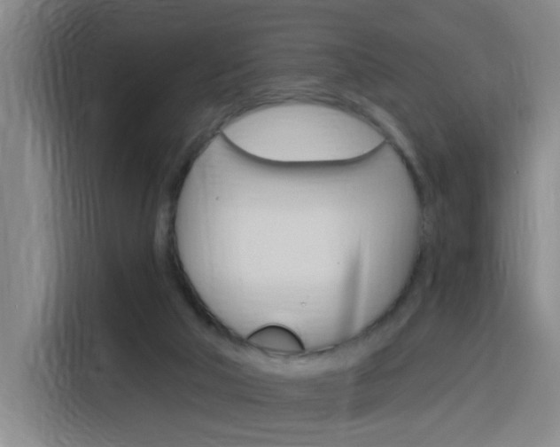 X0000116150018200911231001