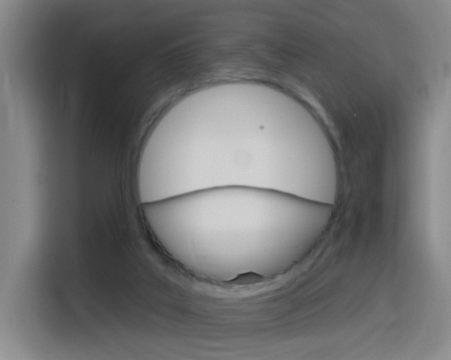 X0000116150019200911231001