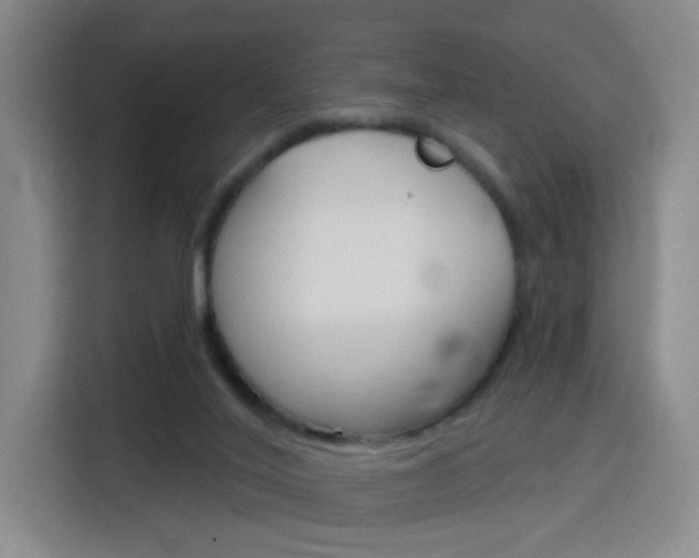 X0000116150020200911231001