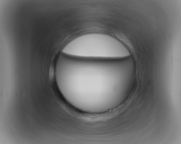 X0000116150021200911231001