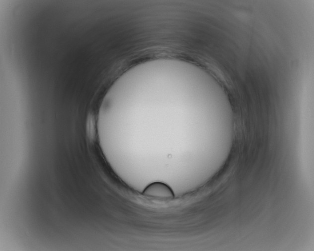 X0000116150022200911231001