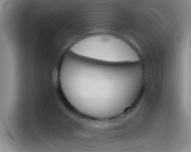 X0000116150024200911231001