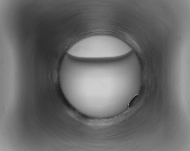 X0000116150025200911231000