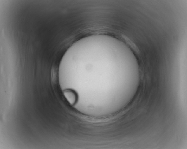 X0000116150026200911231000