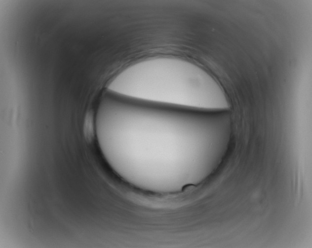 X0000116150028200911231000