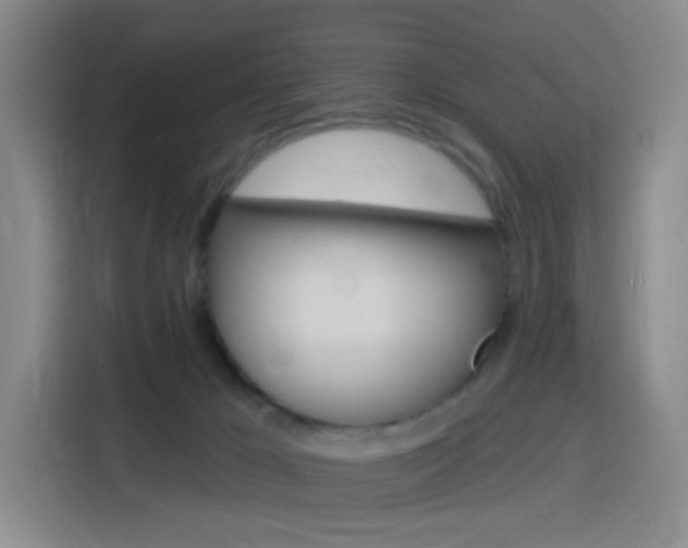 X0000116150029200911231000