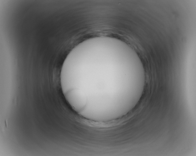 X0000116150030200911231000