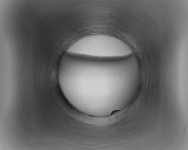 X0000116150031200911231000