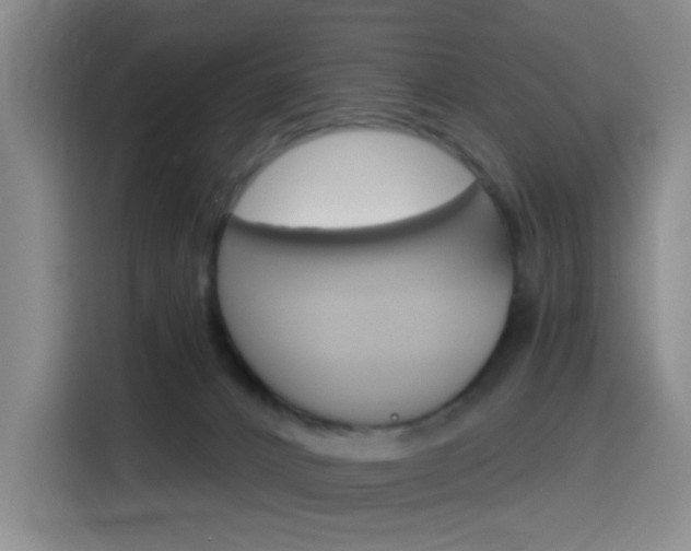 X0000116150032200911231000