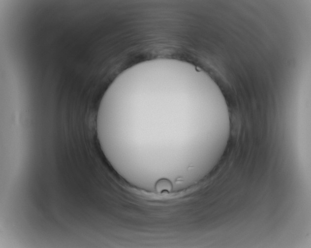 X0000116150034200911231000