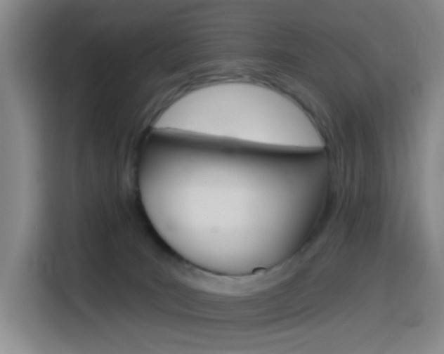 X0000116150035200911231000