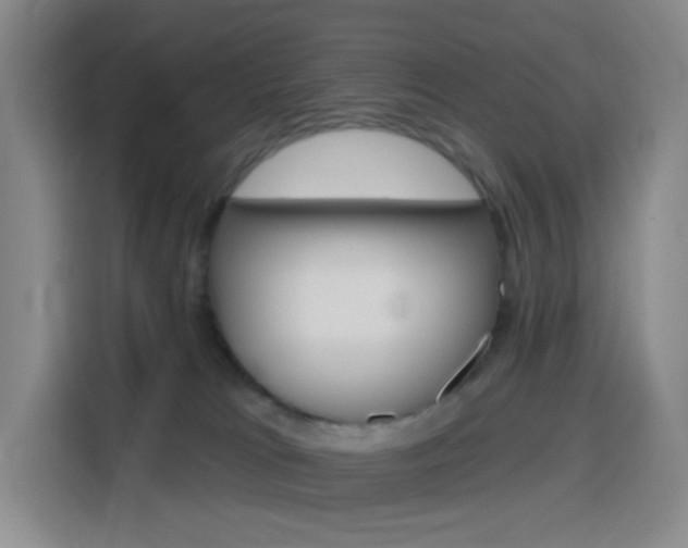 X0000116150037200911231000