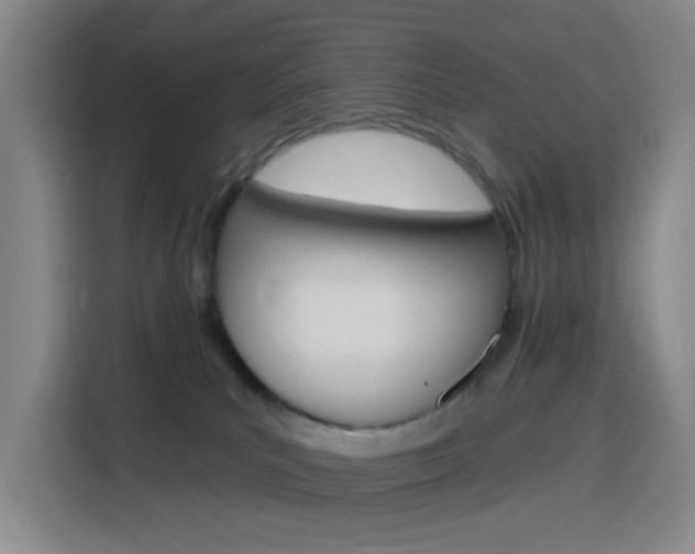 X0000116150039200911231000