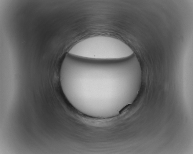 X0000116150040200911231000