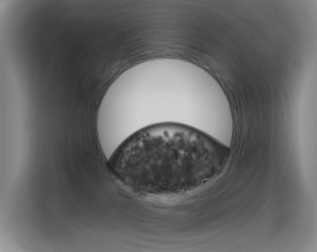 X0000116150041200911231000