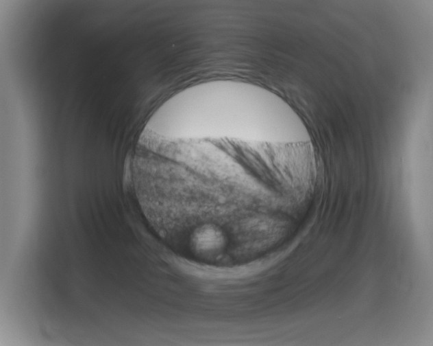 X0000116150042200911231000