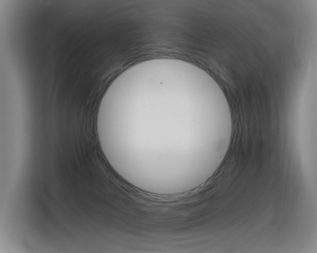 X0000116150043200911231000