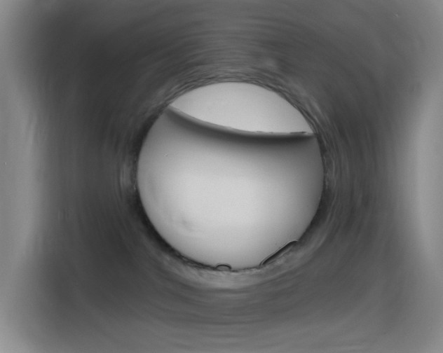 X0000116150044200911231000