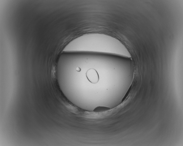 X0000116150045200911231000