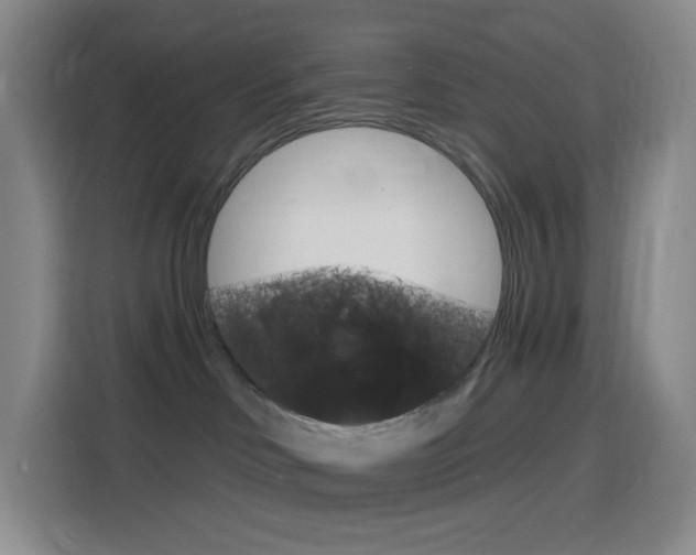 X0000116150046200911231000