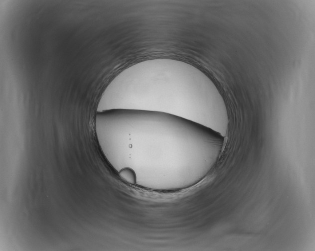 X0000116150048200911231000