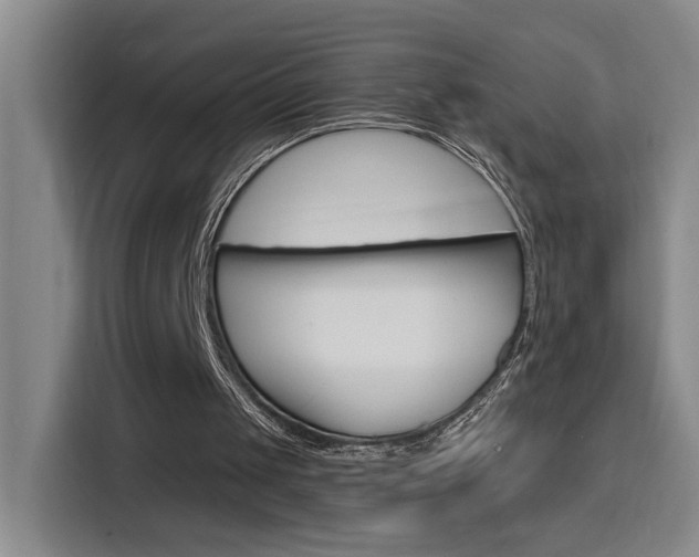 X0000116150049200911231000