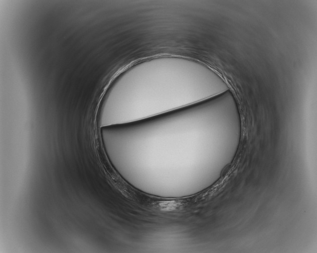 X0000116150050200911231000