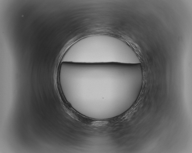 X0000116150051200911231000