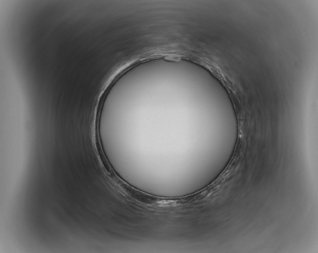 X0000116150052200911231000