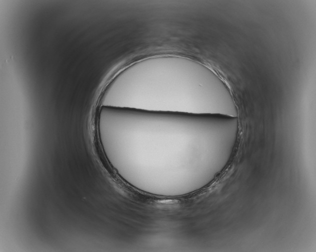 X0000116150053200911231000