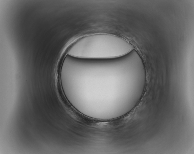 X0000116150054200911231000