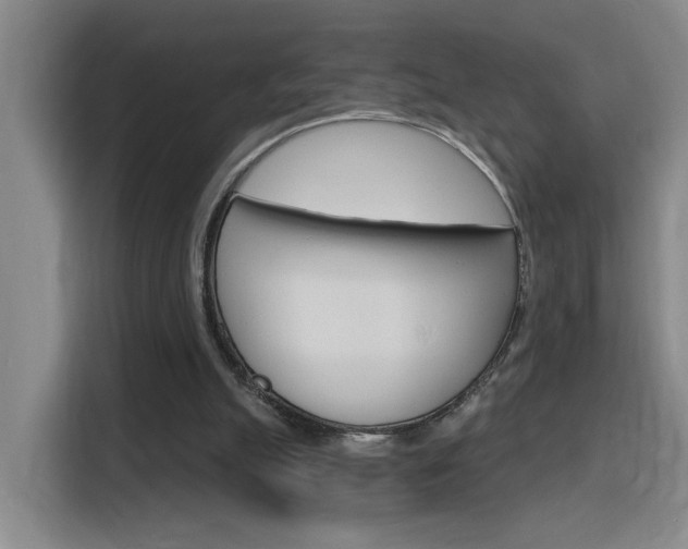 X0000116150055200911231000