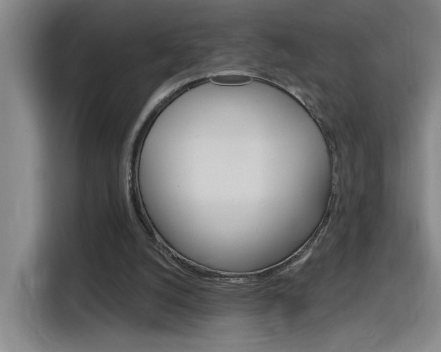 X0000116150056200911231000