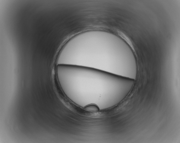 X0000116150059200911231000