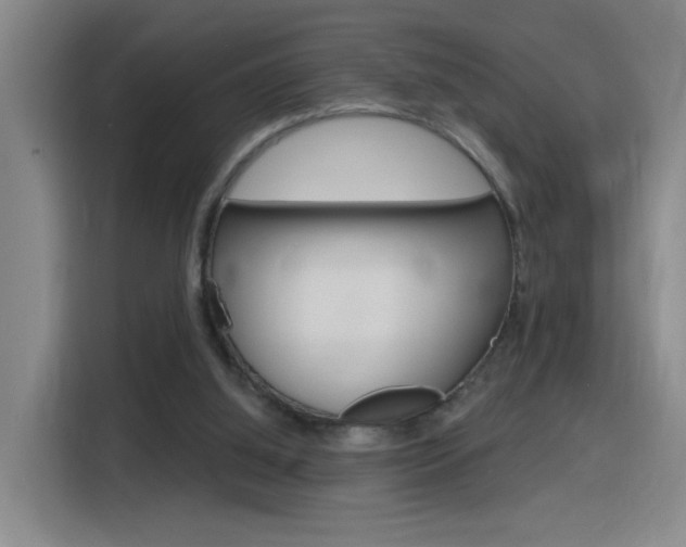 X0000116150060200911231000