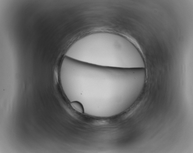 X0000116150061200911231000