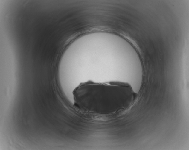 X0000116150062200911231000