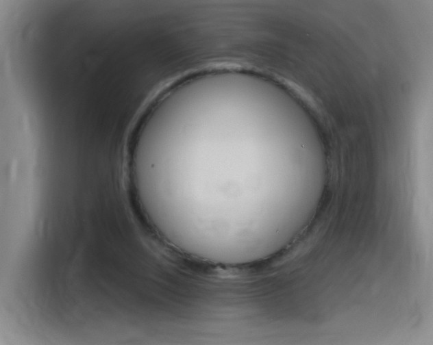 X0000116150064200911231000