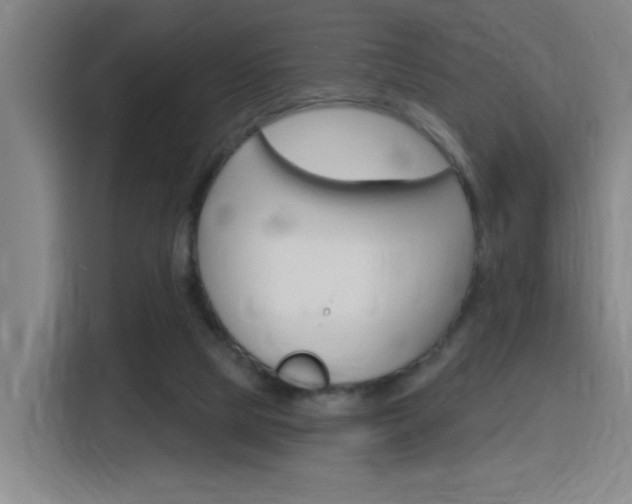 X0000116150065200911231000