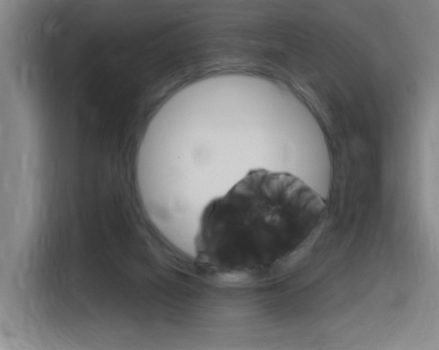 X0000116150066200911231000