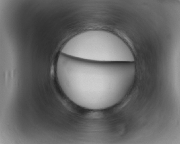 X0000116150067200911231000