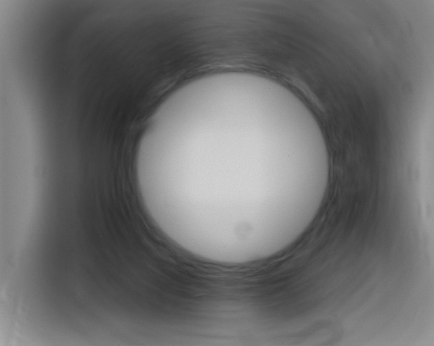 X0000116150068200911231000