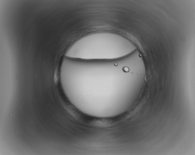 X0000116150069200911231000