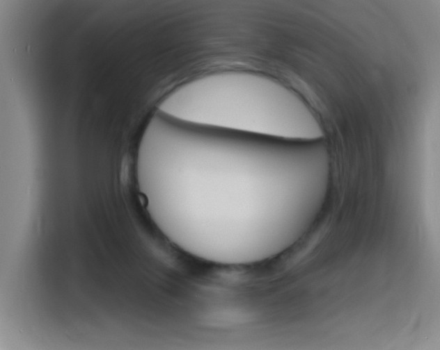 X0000116150071200911231000