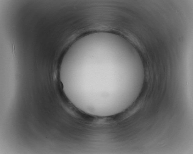 X0000116150072200911231000