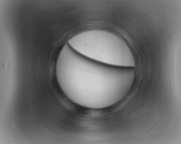 X0000116150073200911231000