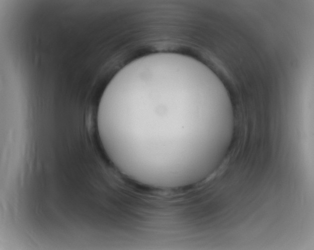 X0000116150074200911231000