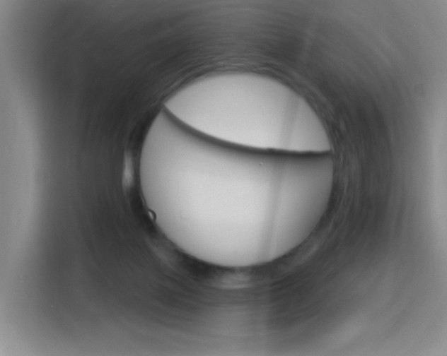 X0000116150075200911231000