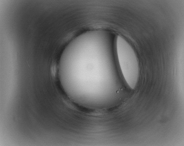 X0000116150076200911231000